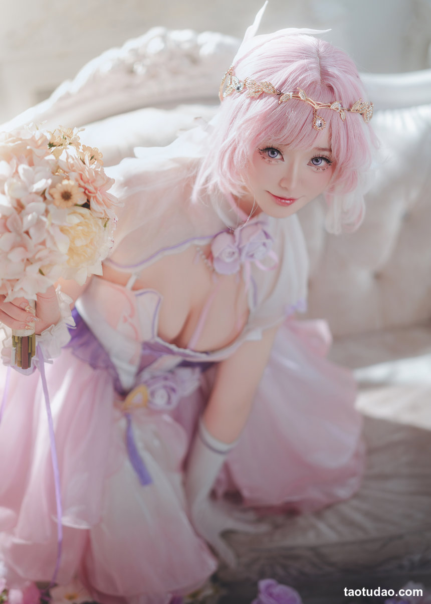 前野太太-崩坏3-爱莉·流光之诗[30P-302MB]