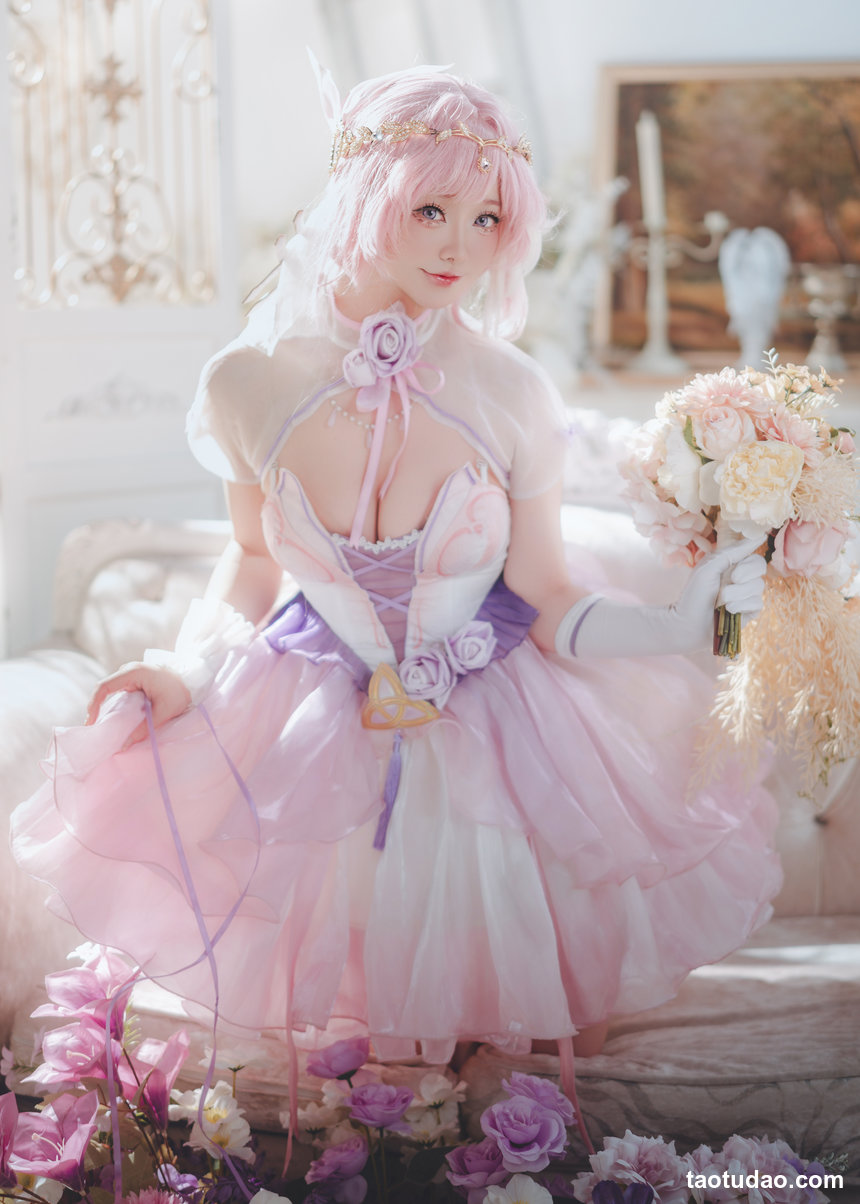 前野太太-崩坏3-爱莉·流光之诗[30P-302MB]