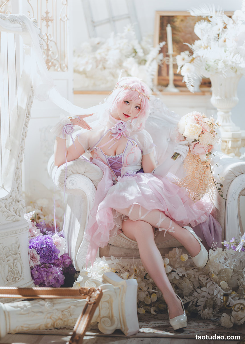 前野太太-崩坏3-爱莉·流光之诗[30P-302MB]