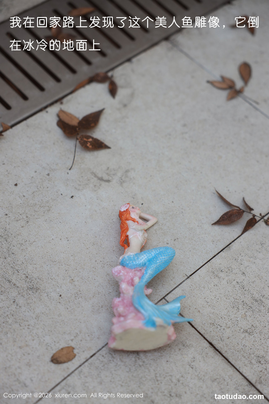 [XiuRen秀人网] 2026.01.30 No.11298 小薯条nienie [70+1P]