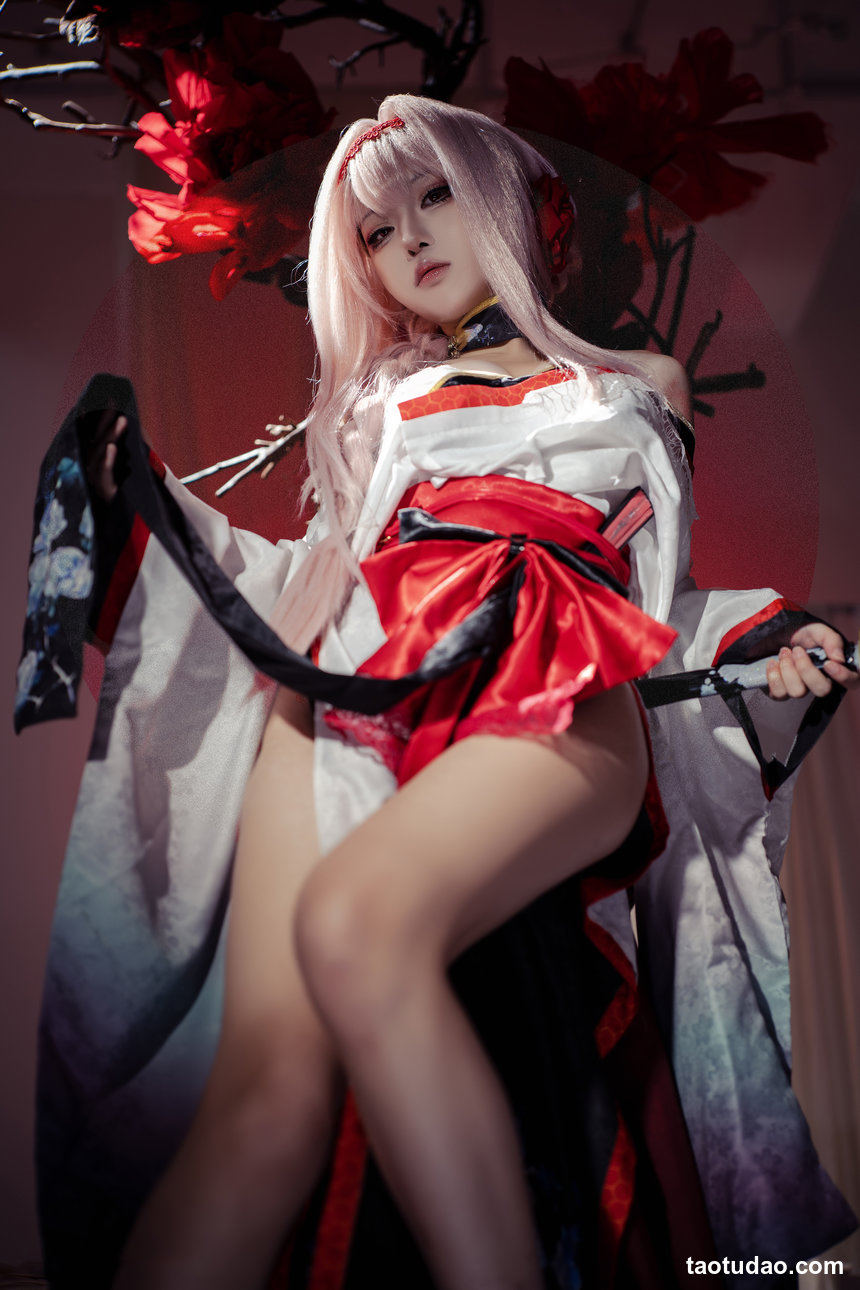 矢量鱼 –  Nikke胜利女神-暗莲[30P-352.8M]