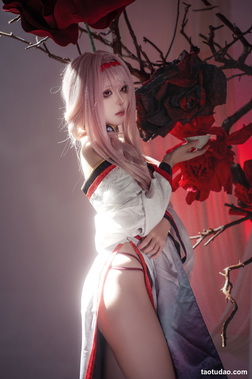 矢量鱼 –  Nikke胜利女神-暗莲[30P-352.8M]