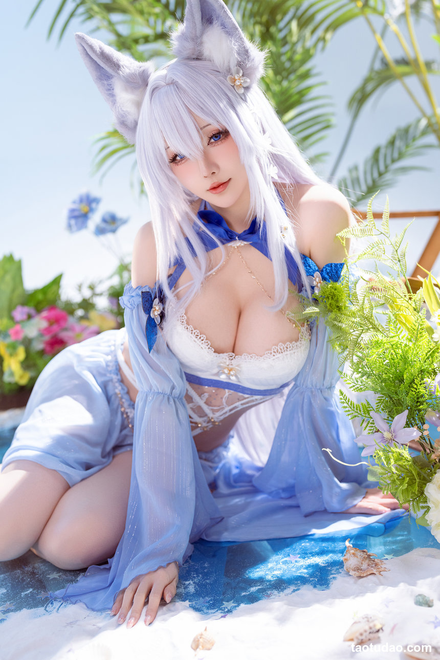 星之迟迟 – 26年1月计划C 碧蓝航线 信浓泳装[52P-242.7M]