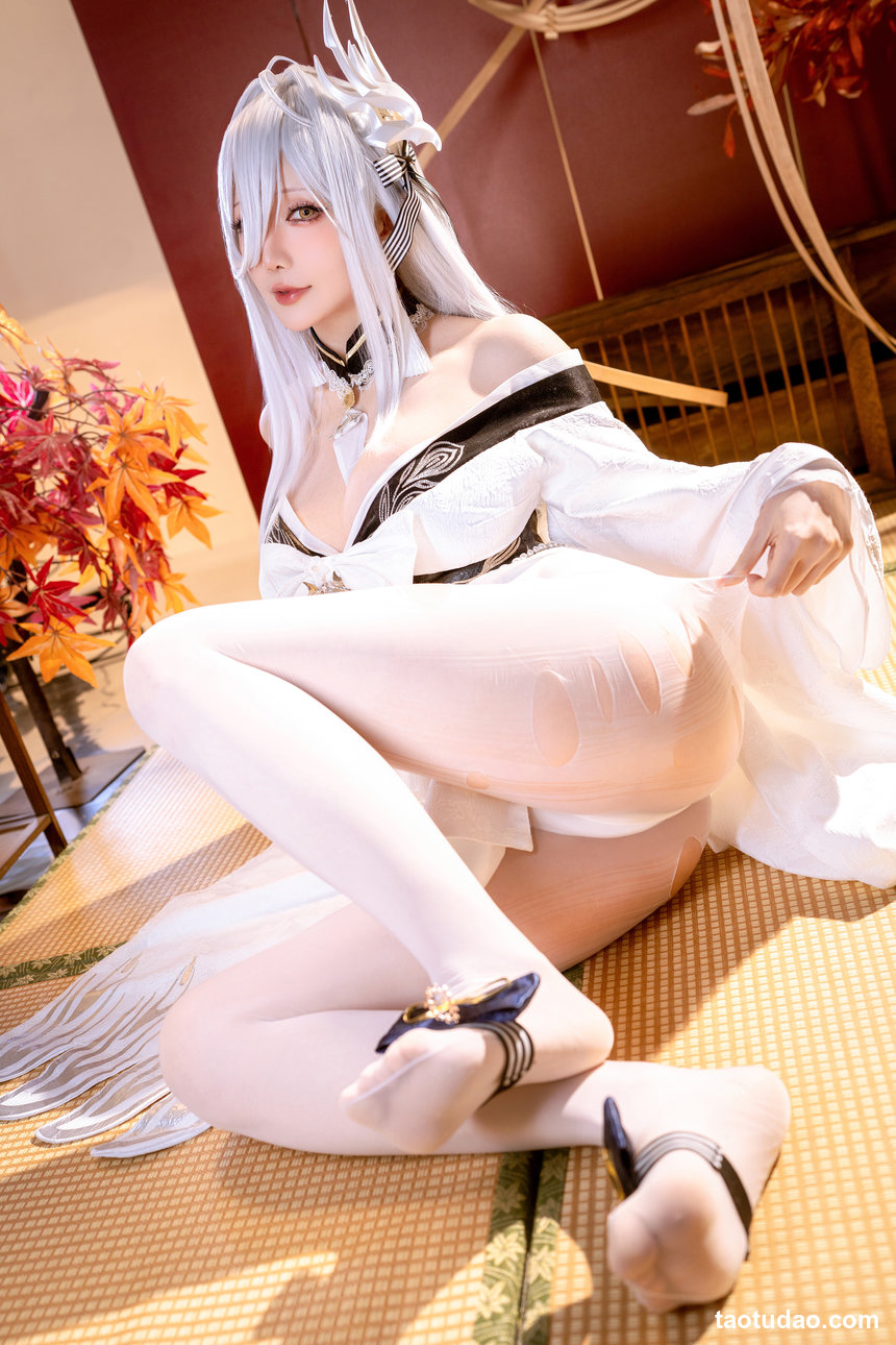 星之迟迟 –  26年1月计划D 碧蓝航线 白凤[59P-276.3M]