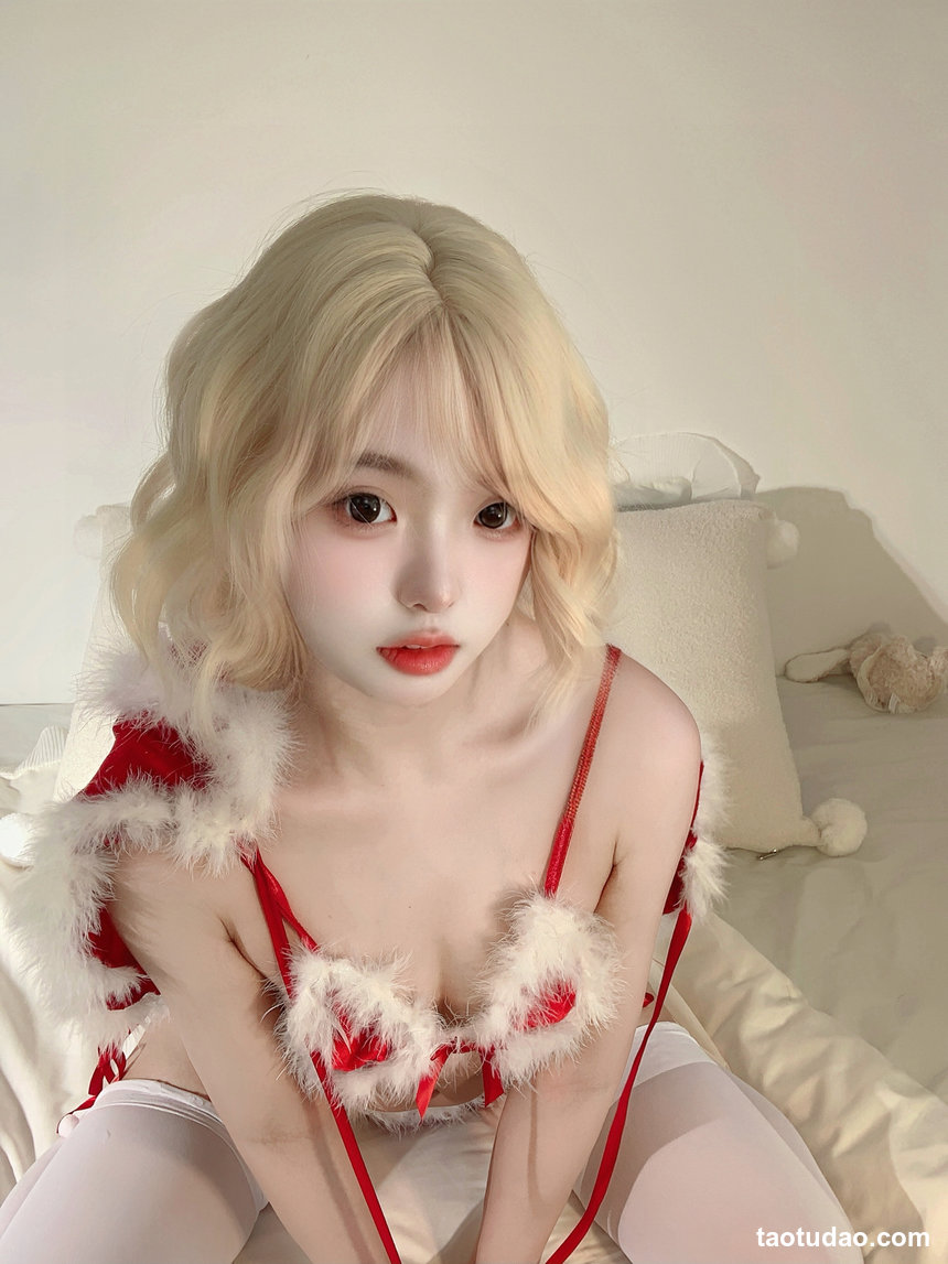 真宝 NO.011 圣诞 [29P+1V-344M]