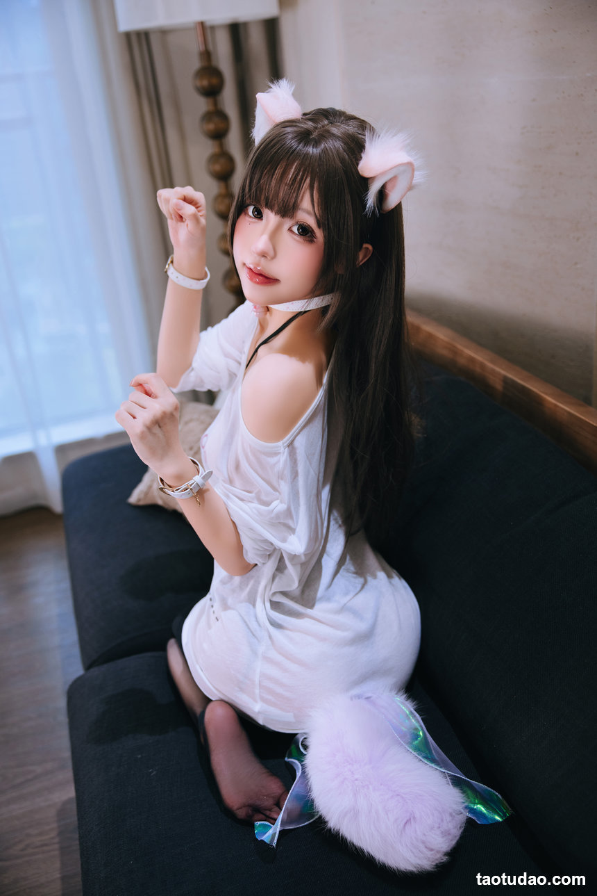 日奈娇 –  家里的猫
