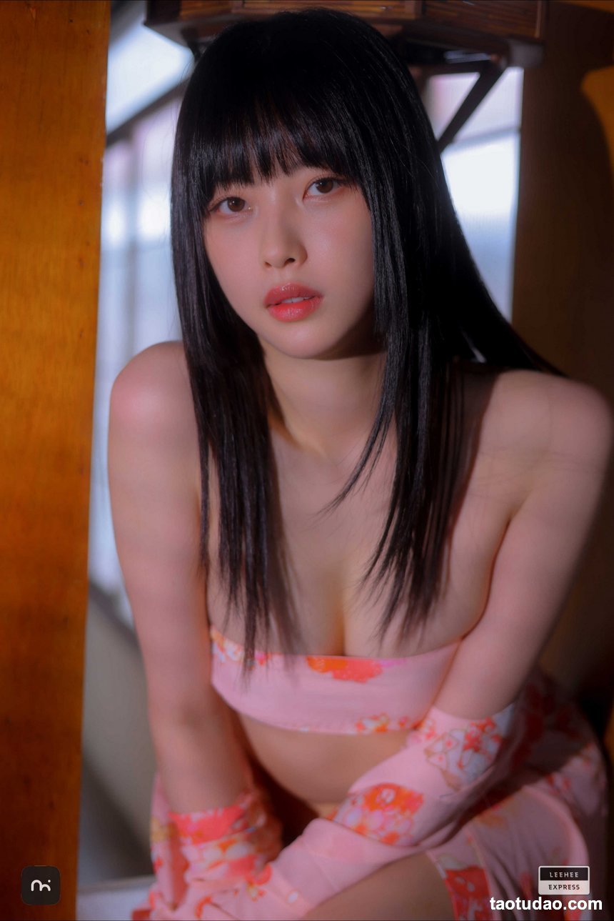 LeeheeExpress – GMS-006A GMS
